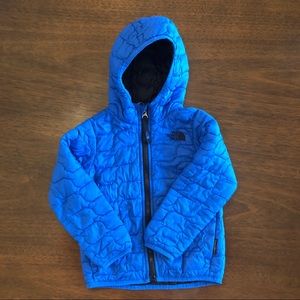 The North Face Blue 3T Coat